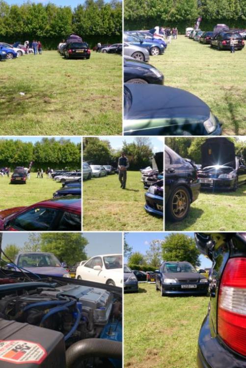 DSC_0465-COLLAGE.jpg